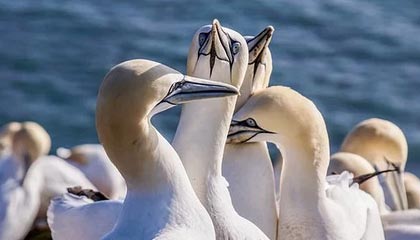 文山高价找中介10分钟提取医保武汉的最新政策(2025年文山武汉中介提取公积金分享)