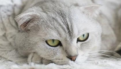 文山高价上海医保提取2025的最新政策(2025年文山上海医保怎么提取现金分享)